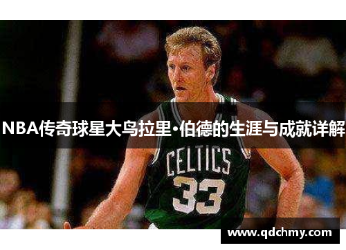 NBA传奇球星大鸟拉里·伯德的生涯与成就详解