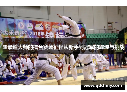 跆拳道大师的擂台赛场征程从新手到冠军的辉煌与挑战